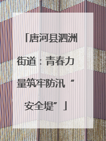 唐河县泗洲街道：青春力量筑牢防汛“安全堤”